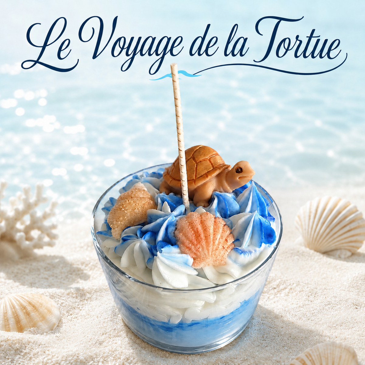 Le voyage de la Tortue