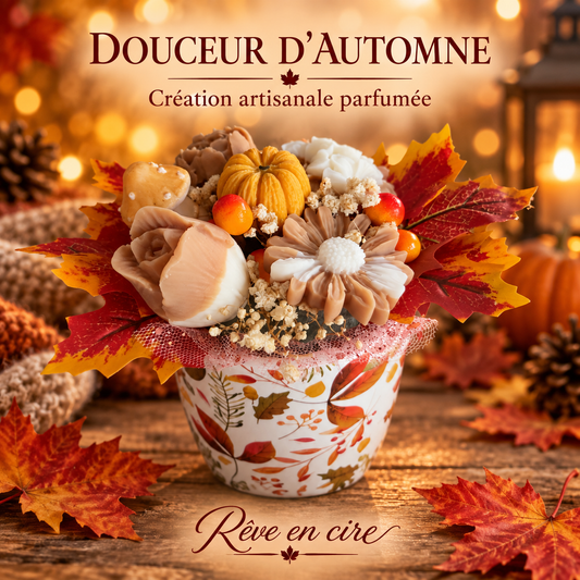 🍂 Douceur d’Automne 🍂
